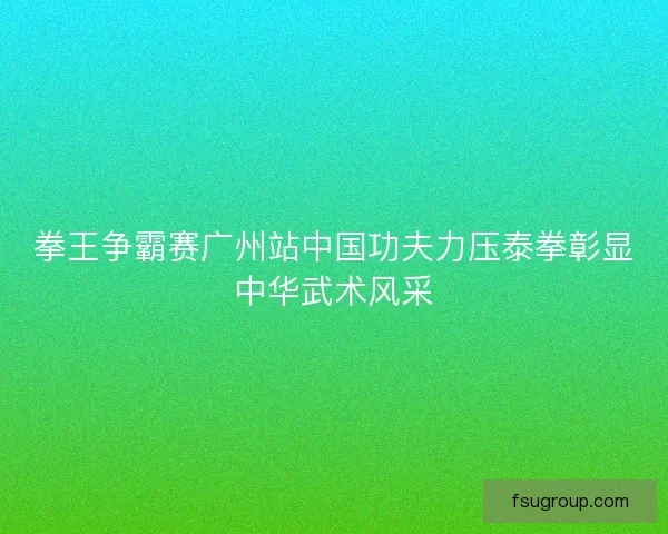 拳王争霸赛广州站中国功夫力压泰拳彰显中华武术风采